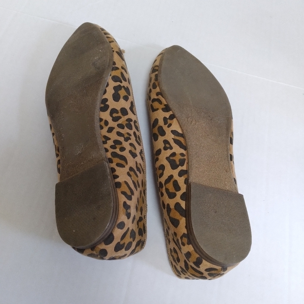 Gap Pointed Toe Animal Print Bow Detail Flats - Picture 6 of 7